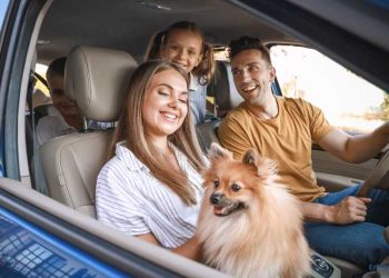 Familie mit Hund im Auto