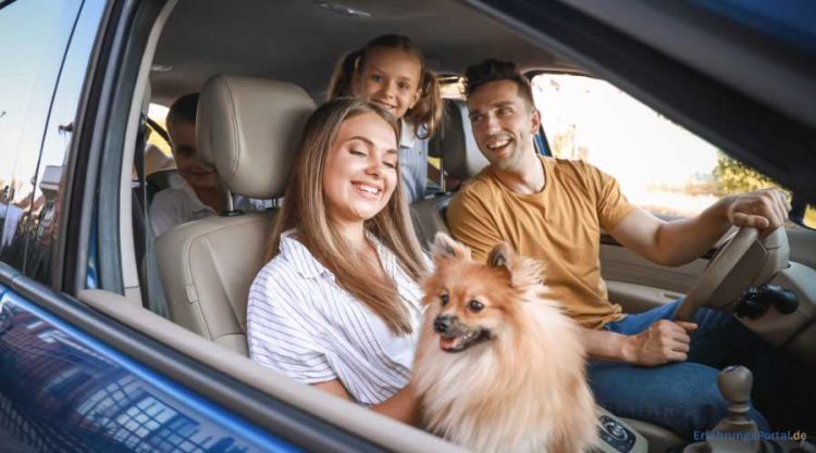 Familie mit Hund im Auto