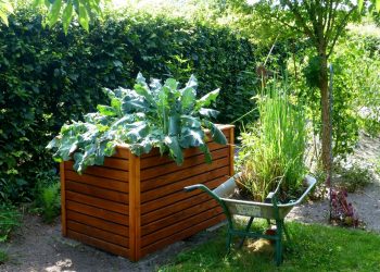 Hochbeete: 5 überzeugende Gründe, warum Sie eines brauchen!