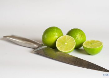 Alles über Küchenkompane