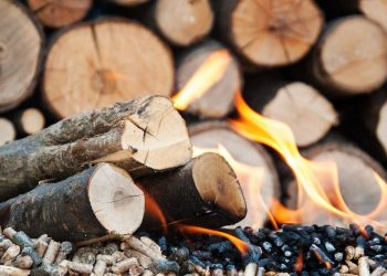 Alles über Grill-Profi-Shop