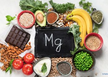 Alles über omega3zone