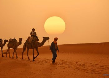 Alles über trendtours