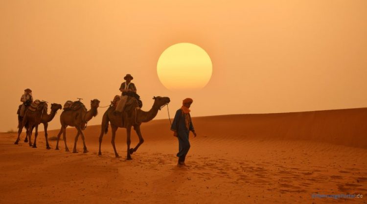 Alles über trendtours