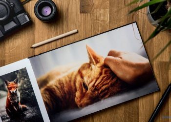 Alles über ALDI Foto