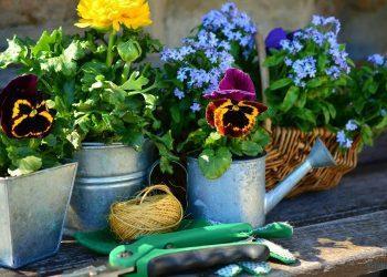 Alles über Garten Schlüter