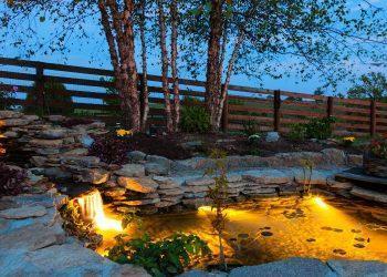 Alles über Hanako-Koi