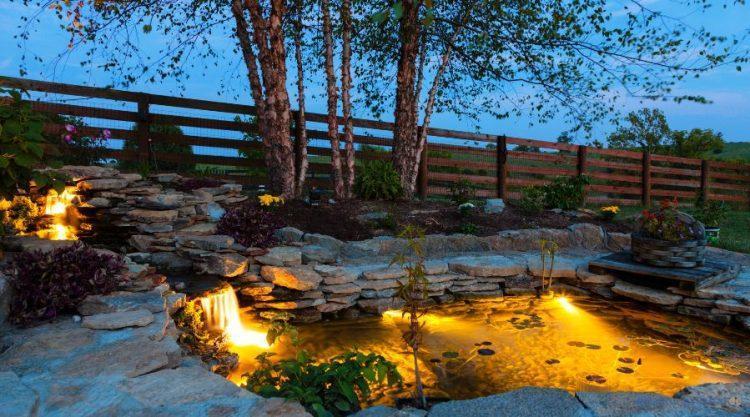 Alles über Hanako-Koi