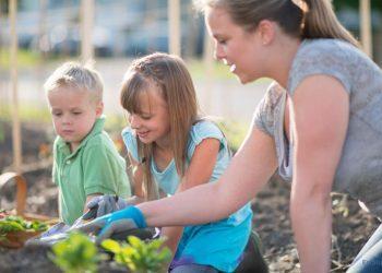 Alles über Samenhaus