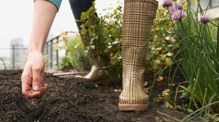 Alles über Samenhaus