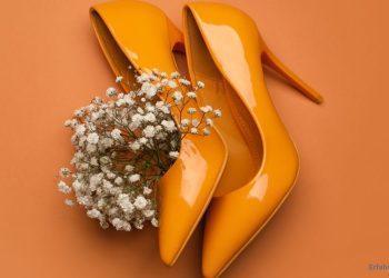 Alles über Kennel und Schmenger