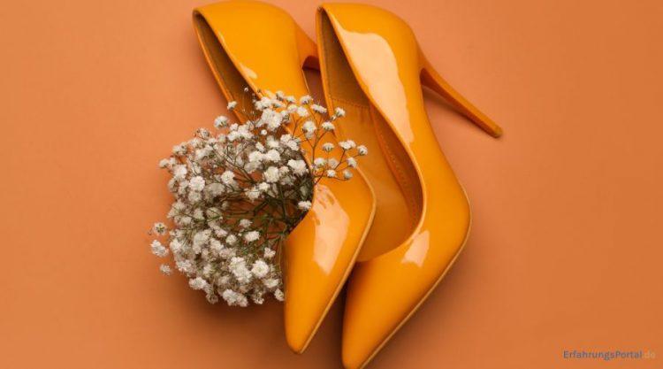 Alles über Kennel und Schmenger