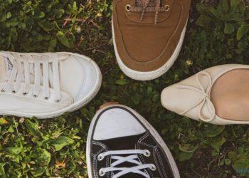 Alles über Kennel und Schmenger