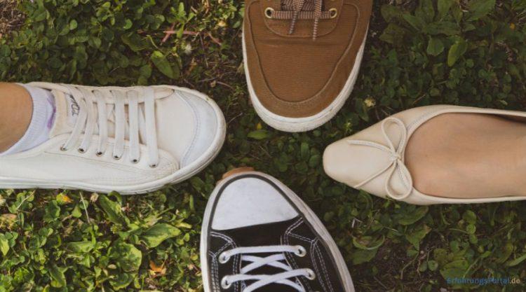 Alles über Kennel und Schmenger