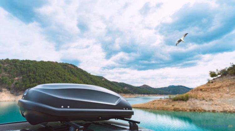 Alles über travelträger