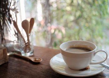 Alles über Aromatico