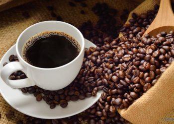 Alles über Aromatico