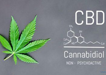 die Chemische Formel von Cannabidiol