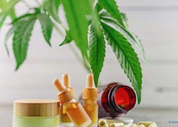 CBD Öl, CBD Kapseln und eine CBD Creme wurden drapiert. Im Hintergrund sieht man eine Hanfpflanze