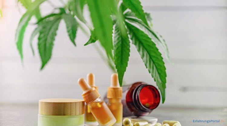 CBD Öl, CBD Kapseln und eine CBD Creme wurden drapiert. Im Hintergrund sieht man eine Hanfpflanze