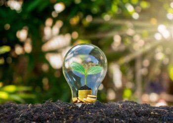 Glühbirne in der Erde