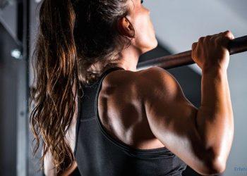 Alles über Sportnahrung Engel