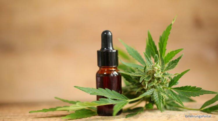 CBD Öl