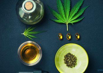 CBD-Öl und CBD-Kapseln