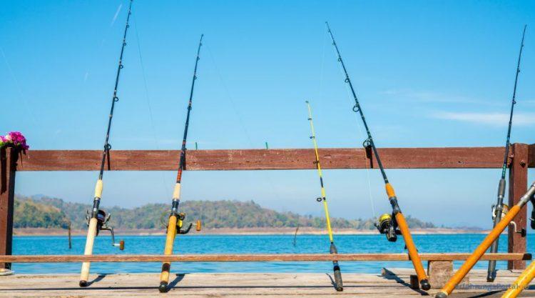 verschiedene Angelruten