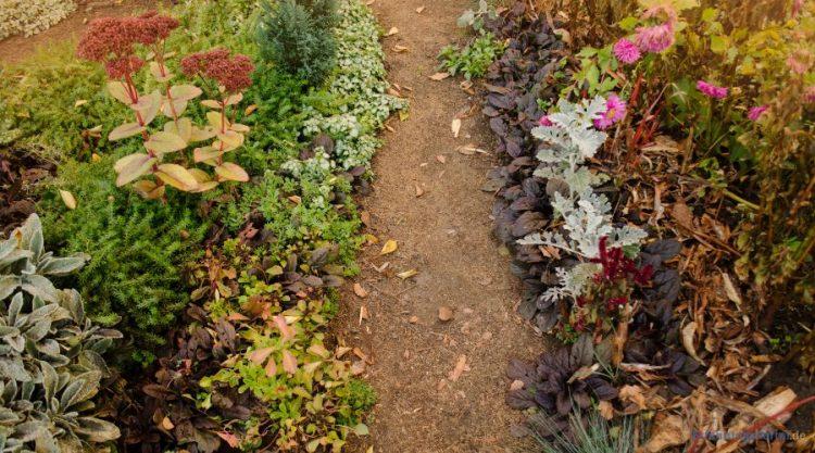 Weg im Garten