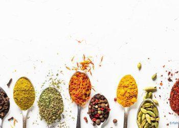 Gewürze auf Löffeln