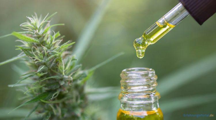 CBD Öl