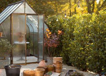 Gewächshaus in den Abendstunden