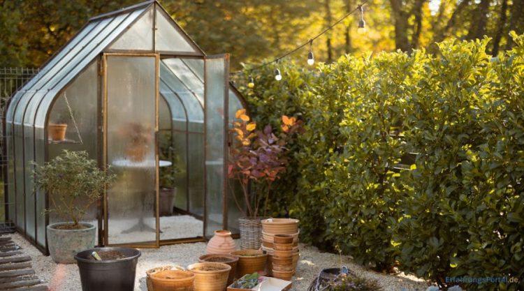 Gewächshaus in den Abendstunden