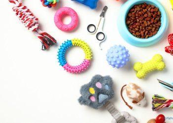 Hunde- und Katzenspielzeug