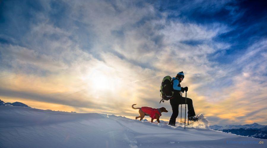 Mann geht mit Hund im Schnee auf Ski spazieren