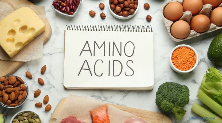 Aminosäure lebensmittel