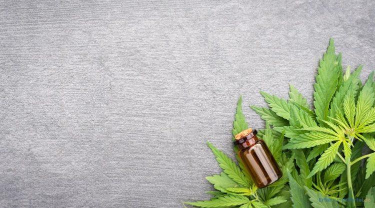 CBD Öl mit Hanfblätter