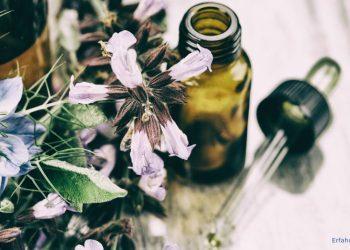 Hinter bunten Blüten liegt eine Pipette mit der passenden Flasche