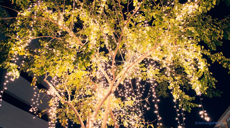 Lichterkette im Baum