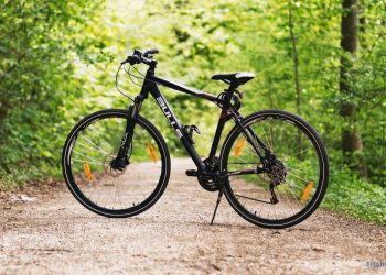Fahrrad im Wald