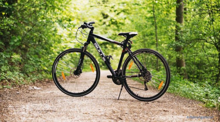 Fahrrad im Wald