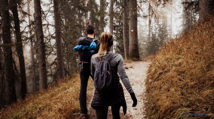 zu zweit durch den Wald laufen