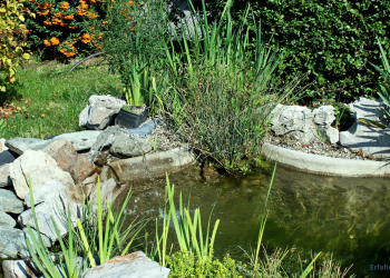 Gartenteich mit Teichpumpe