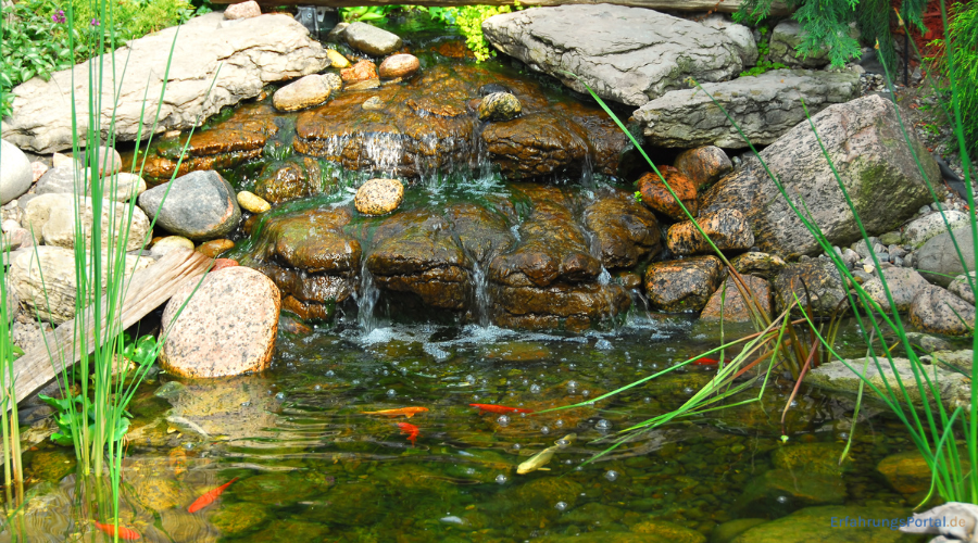 Gartenteich mit Wasserfall und Fischen