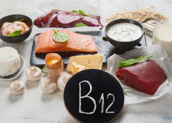 Lebensmittel mit Vitamin B12