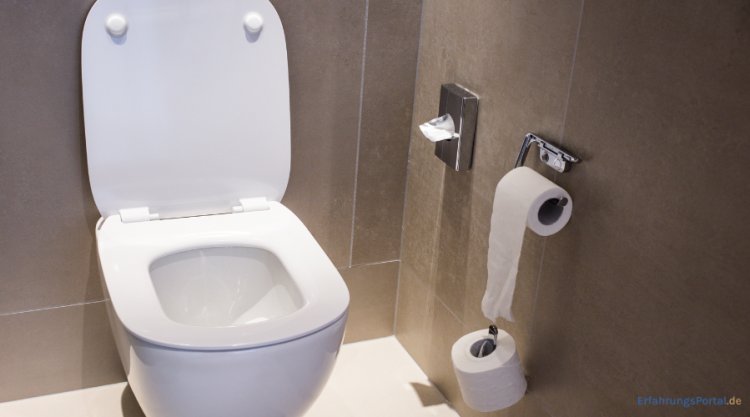 WC-Sitz mit Absenkautomatik