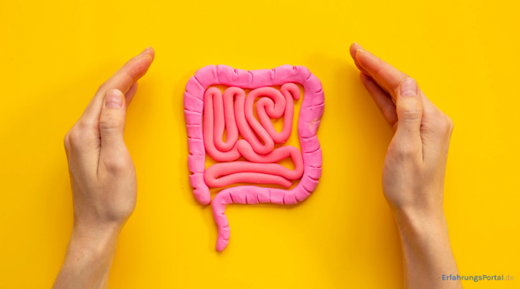 Darmgesundheit