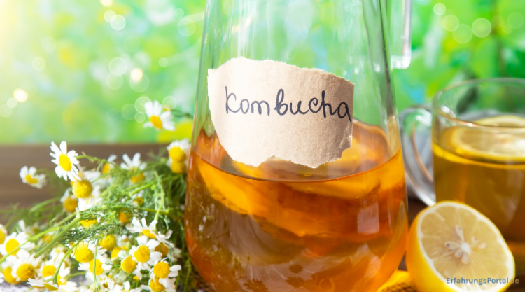 Kombucha