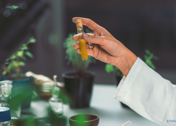 Natürliche Medikamente